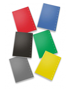 MINI QUADERNO A6 1 RIGO 12X17CM