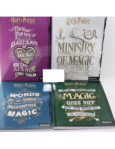 QUADERNO HARRY POTTER RIGO A PRIMA E SECONDA ELEMENTARE...