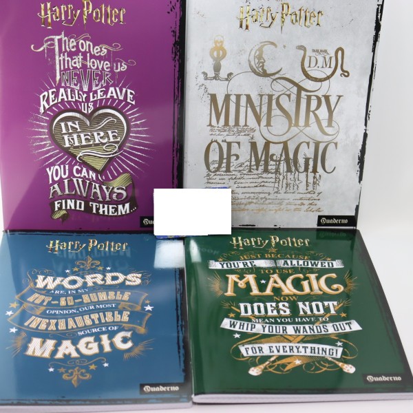 QUADERNO HARRY POTTER RIGO A PRIMA E SECONDA...