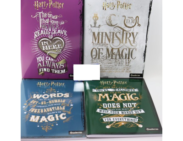 QUADERNO HARRY POTTER RIGO A PRIMA E SECONDA ELEMENTARE 100GR
