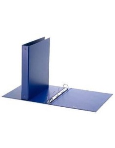 RACCOGLITORE FAVORIT BLU 22X30