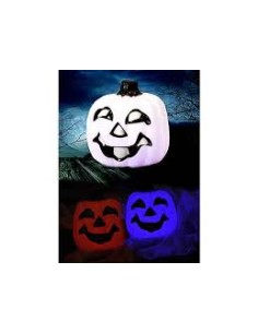ZUCCA BIANCA CON LUCE 65614 2