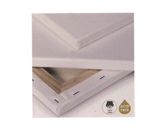 Tela per pittura 20 x 20