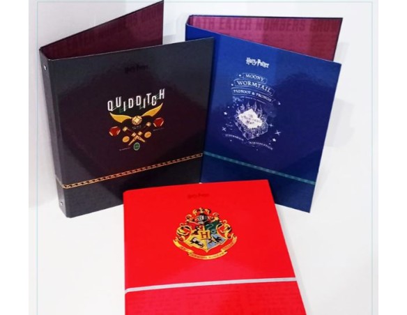 Harry Potter | RACCOGLITORE 4 ANELLI ARCHIVIA CM26X32 D30 HARRY POTTER
