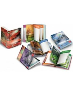 Diario Pocket 12 mesi assortiti Pigna