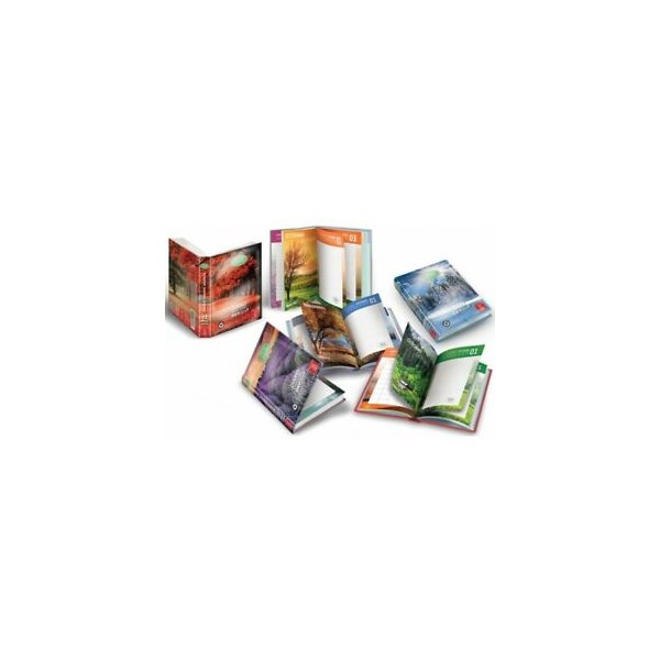 Diario Pocket 12 mesi assortiti Pigna