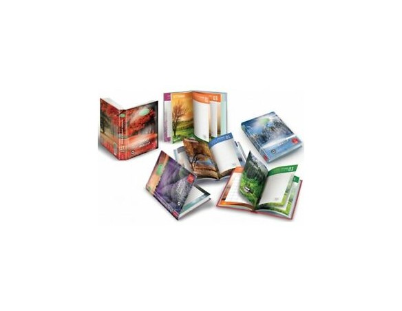 Diario Pocket 12 mesi assortiti Pigna