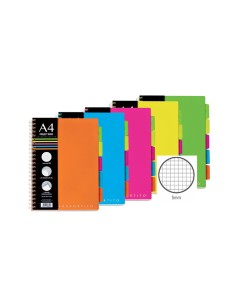 QUADERNO maxi A4 SPIRALATO 1 RIGO CON DIVISORIO