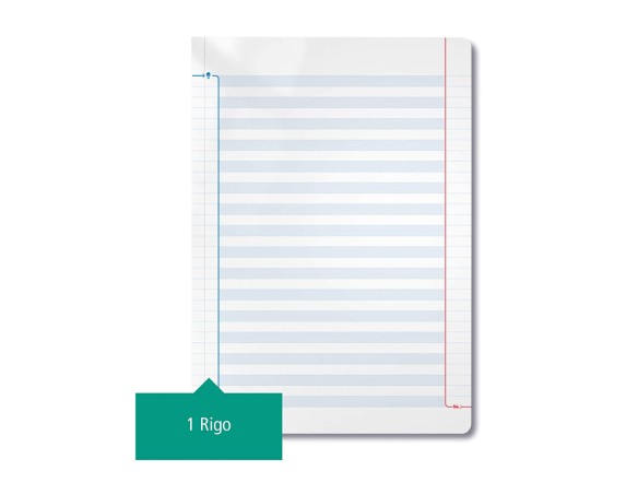 QUADERNO DISGRAFICI MAXI DIDATTICO 1 rigo 100GR