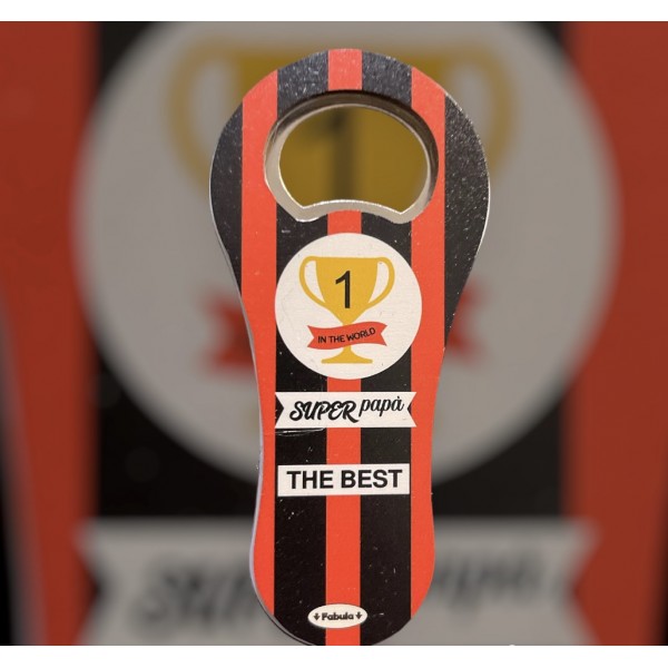 Apribottiglia classico con magnete 10x5 circa...