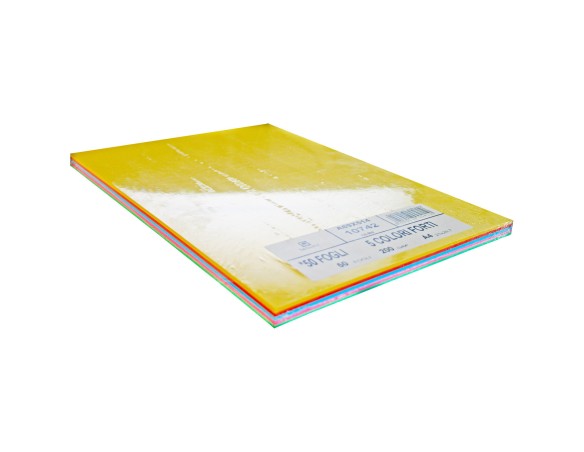 RISMA Carta TopQuality Multicolor 200g A4 Rs 50fg colori forti A69X514