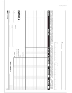 FATTURE A 3 TRE ALIQUOTE DUPLICE COPIA E 5289 2