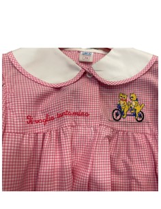 GREMBIULE ® ASILO FEMMINUCCIA QUADRETTATO ROSA BAMBINA...