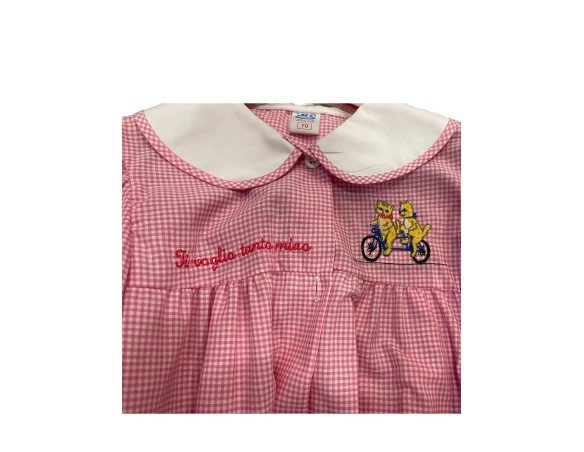 GREMBIULE ® ASILO FEMMINUCCIA QUADRETTATO ROSA BAMBINA 0508 DALLA 2 ALLA 7 ANNI