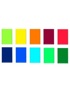 quaderno Maxi Cartonato Fg100 TOPColor B rigo terza...
