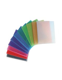 raccoglitore Cartella con anelli diam 30 trasparente