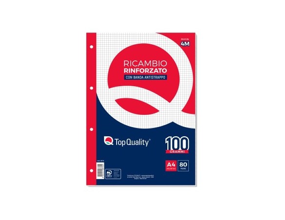 RICAMBI RINFORZATI 4mm A4 Top Quality 100 g
