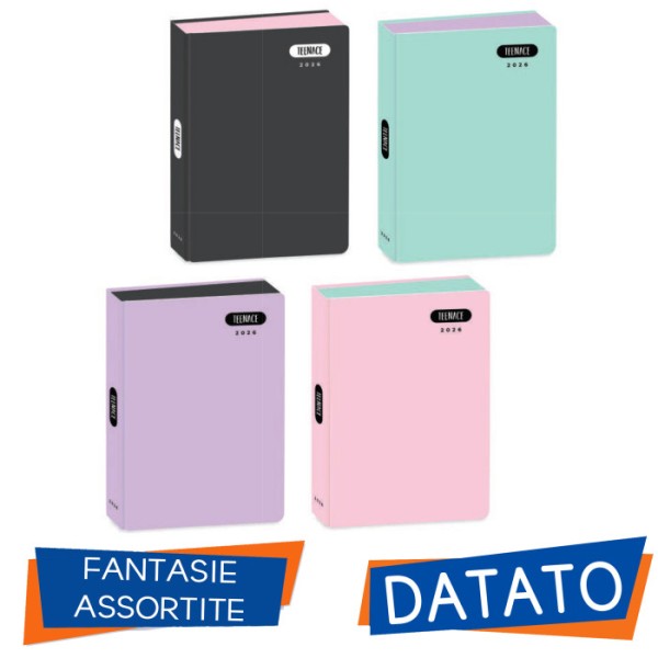 DIARIO AGENDA 12 MESI PASTELLO TEENACE...