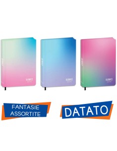 DIARIO AGENDA 12 MESI STANDARD 13,6X18,3 SPECIAL PU...