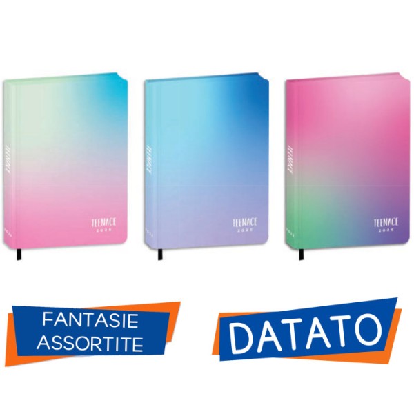 DIARIO AGENDA 12 MESI STANDARD 13,6X18,3...
