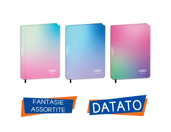 DIARIO AGENDA 12 MESI STANDARD 13,6X18,3 SPECIAL PU TEENACE 2025-2026