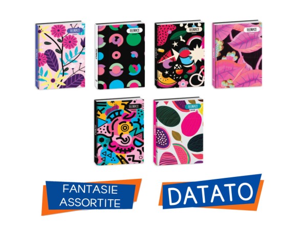 DIARIO AGENDA 12 MESI TEENACE 2025-2026 standard: 13,6 x 18,3 cm