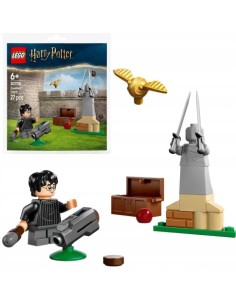 LEGO HARRY POTTER TM LEZIONE DI QUIDDITCH 30706