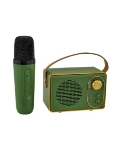 Karaoke magic radio+microfono verde