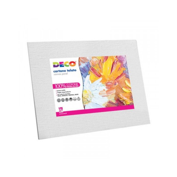 CARTONE TELATO 20 X 30 384/2030