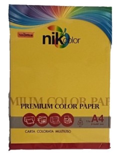 RISMA COLORATA Carta colorata 21x29,7 gr.80 ff.100 colori...
