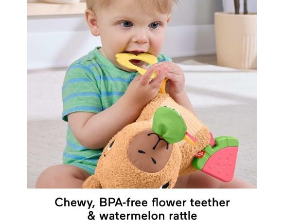 Fisher-Price Marmotta Coccole e Merenda Peluche con massaggiagengive e sonaglio senza BPA, sviluppo sensoriale e abilità motori